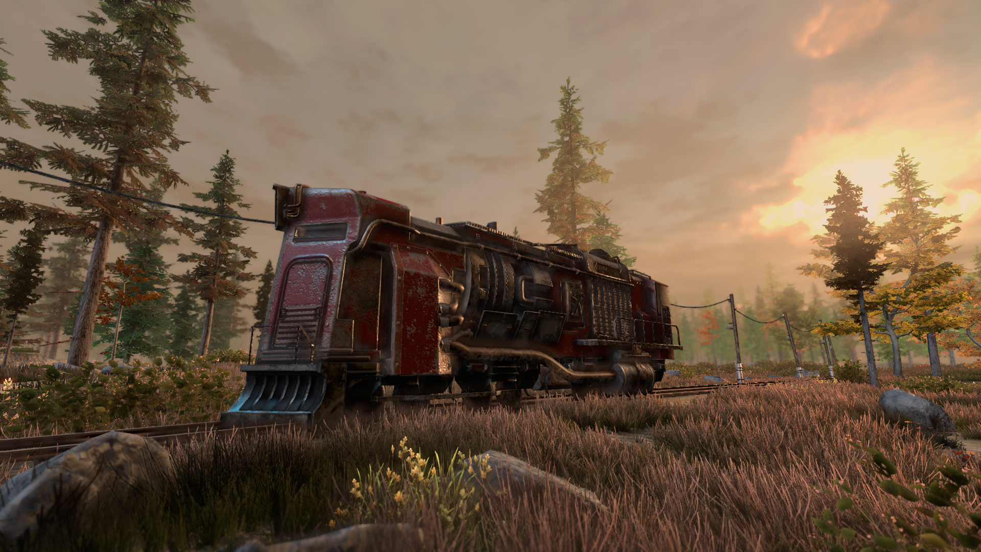 New Cycle -Supporter Pack - obrazek 2