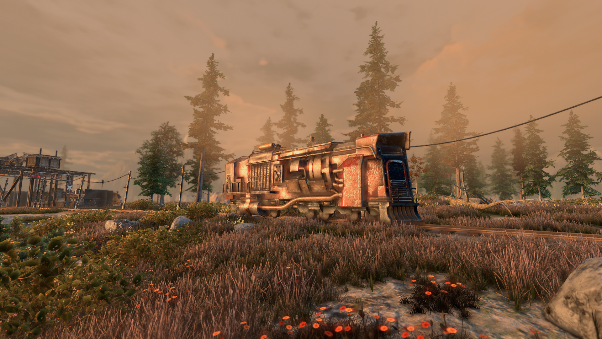 New Cycle -Supporter Pack - obrazek 3