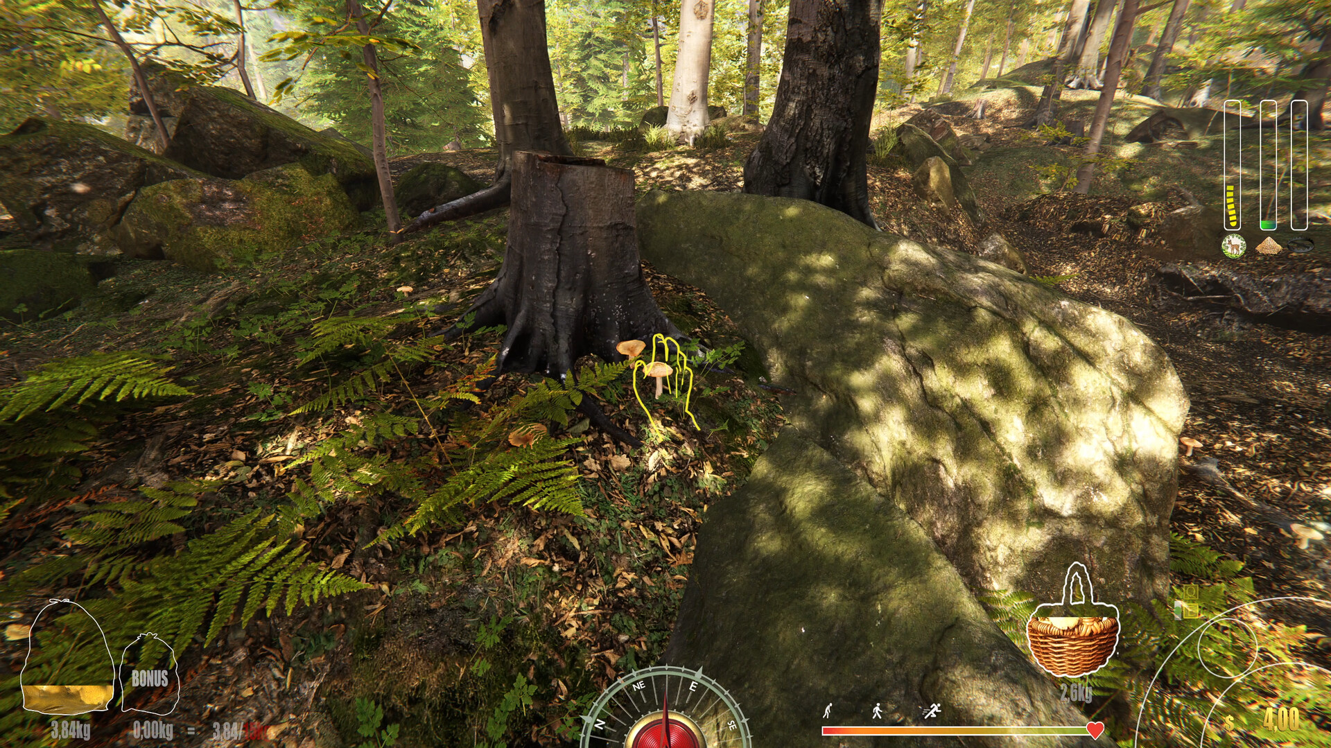 Forest Ranger Simulator - Early Access - obrazek 2
