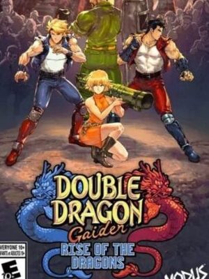 Double Dragon Gaiden Rise Of The Dragons cover