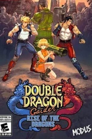 Double Dragon Gaiden Rise Of The Dragons cover