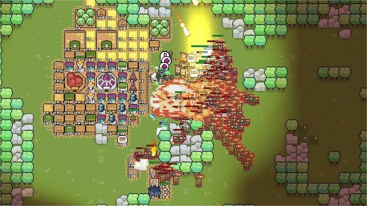 Border Pioneer + Stray Path - obrazek 2