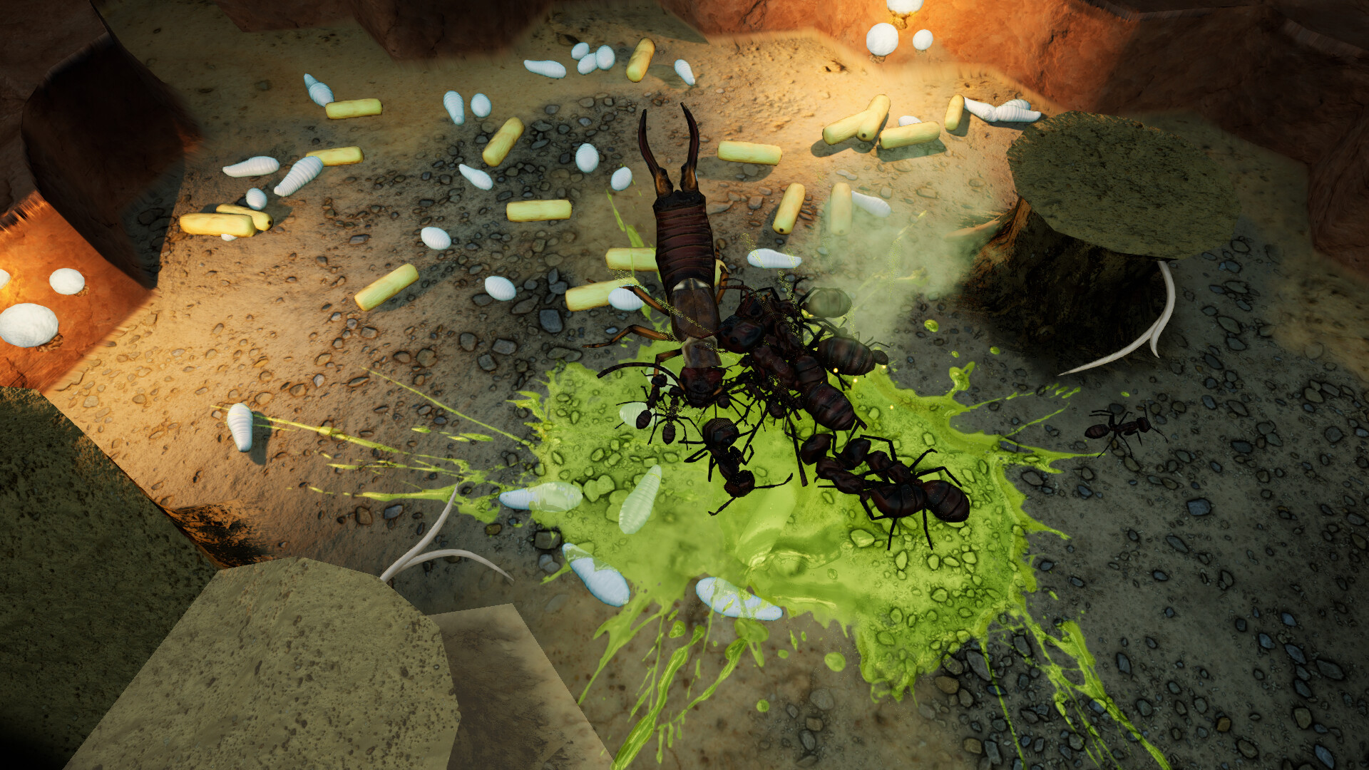 Empires of the Undergrowth - Exploding Ants - obrazek 4