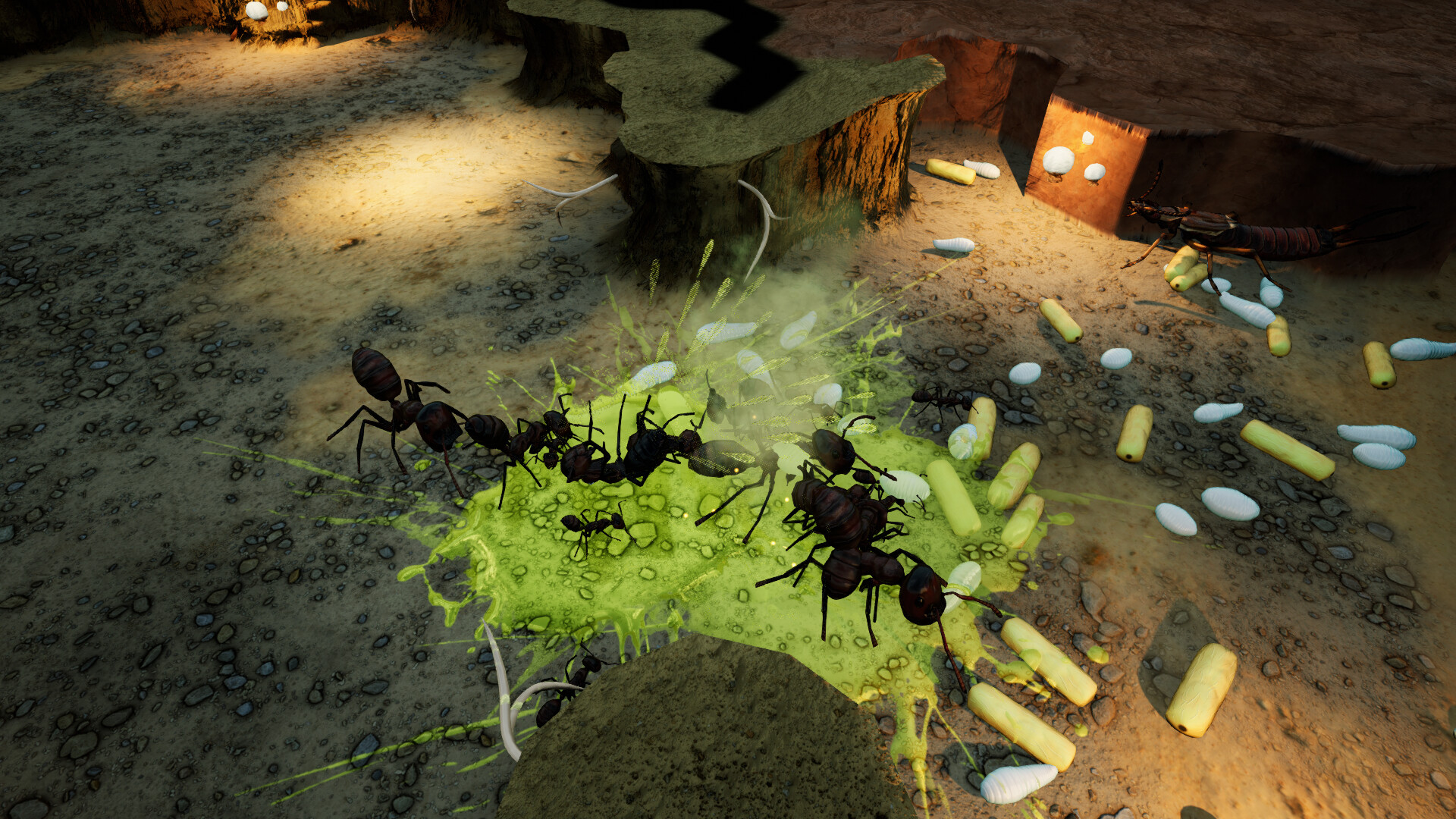 Empires of the Undergrowth - Exploding Ants - obrazek 2