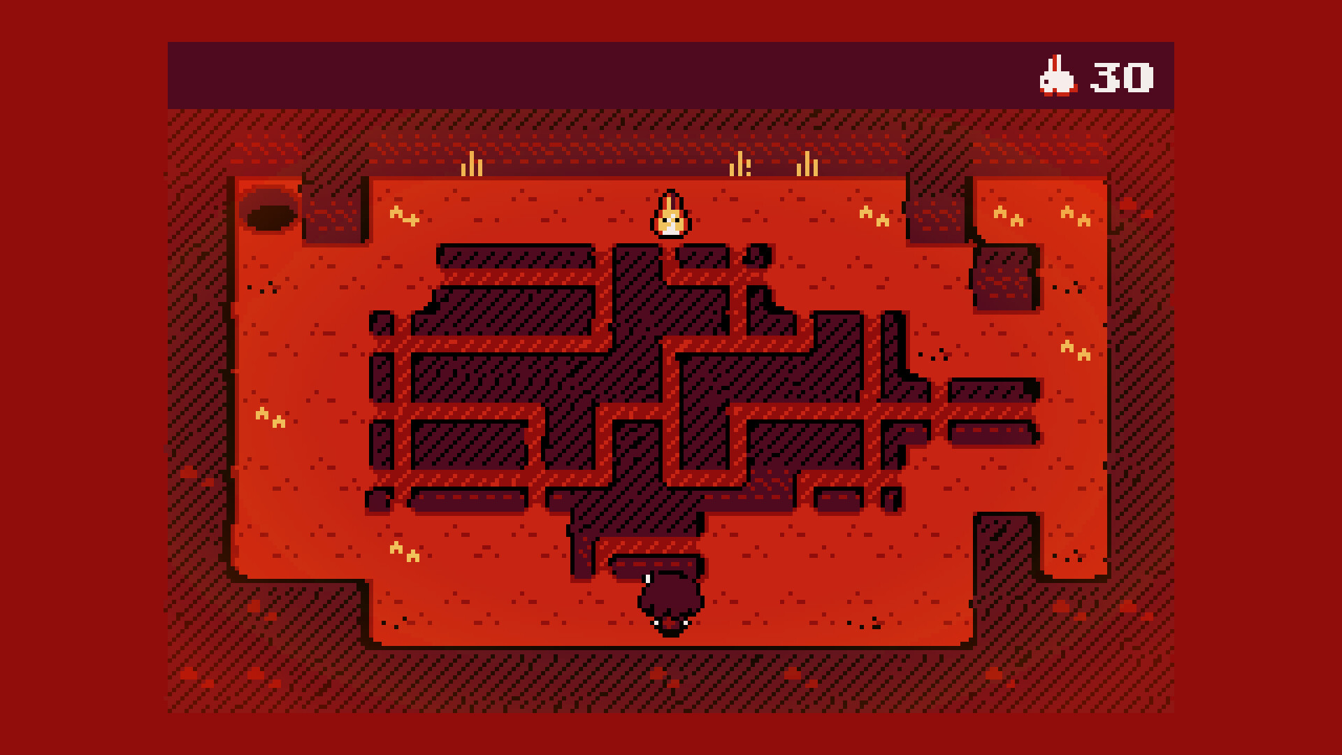 Paquerette Down the Bunburrows - obrazek 3