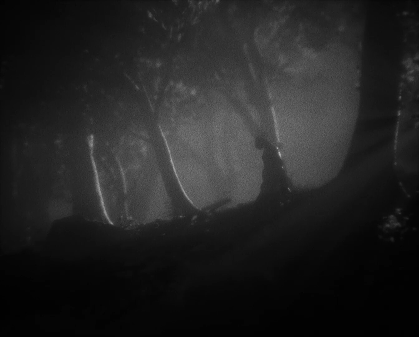 Daemonologie Klucz Steam PC - obrazek 2