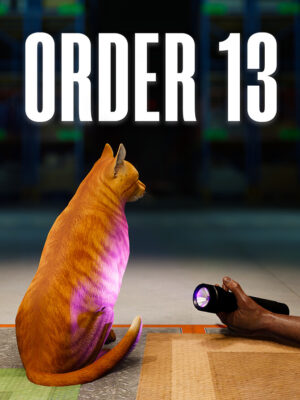 ORDER 13 Klucz Steam PC