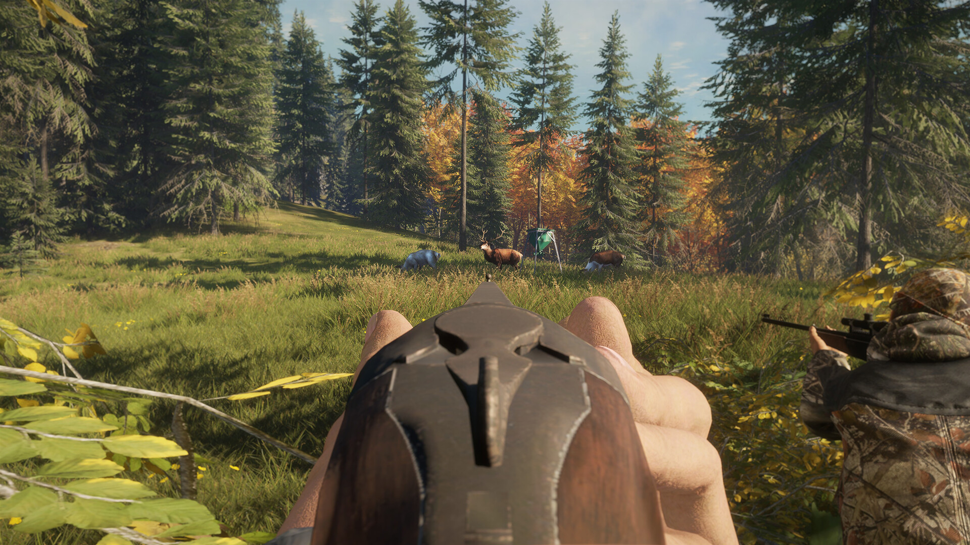 theHunter: Call of the Wild™ - Game Feeder Pack - obrazek 3