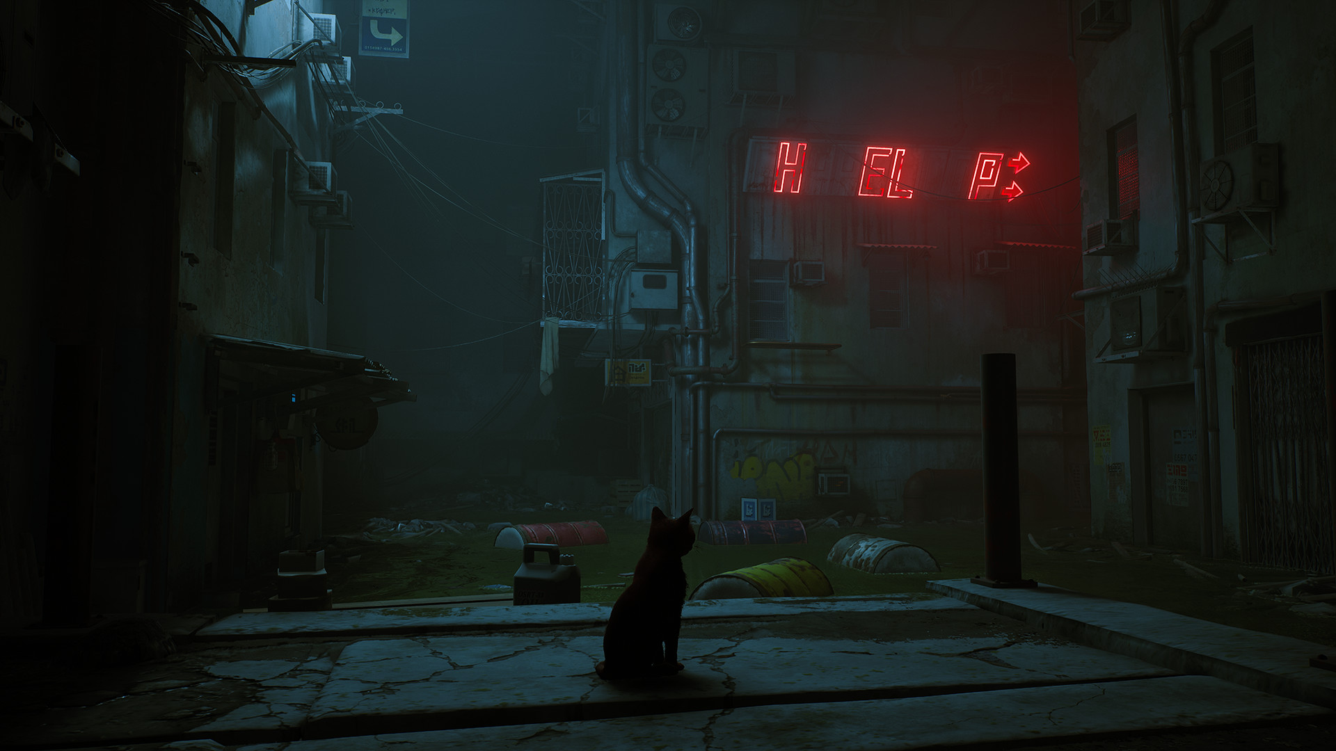 Stray - obrazek 4