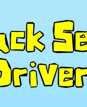 Backseat Drivers