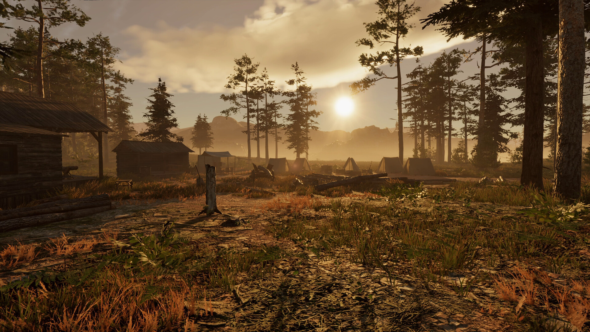 Wild West Legacy - obrazek 2
